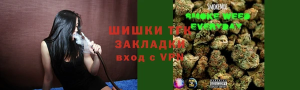 шишки Володарск