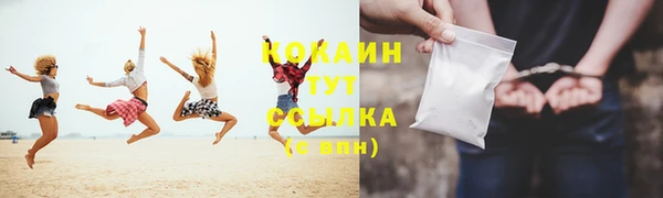 прущие грибы Дмитров