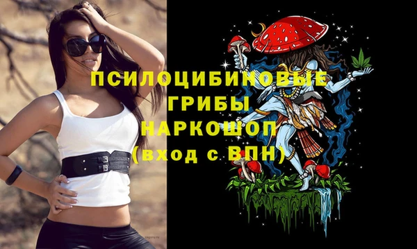 каннабис Волоколамск