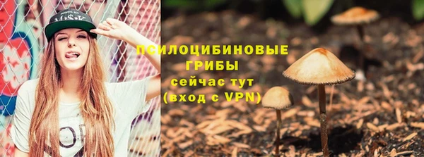 гашиш Дмитриев