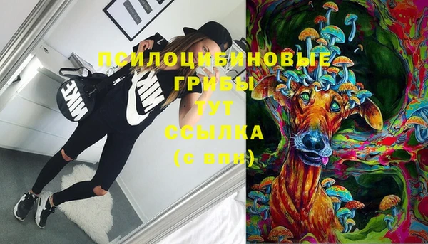 шишки Володарск