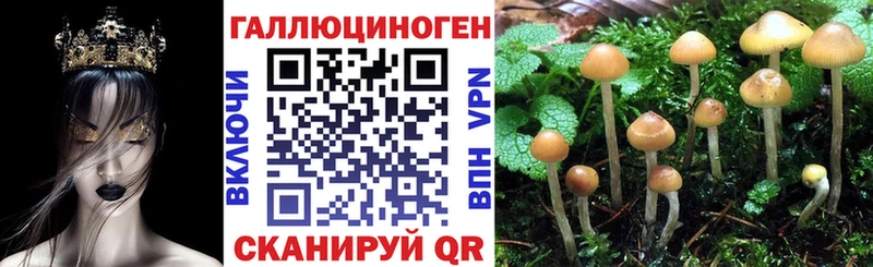 Псилоцибиновые грибы MAGIC MUSHROOMS  Джанкой 