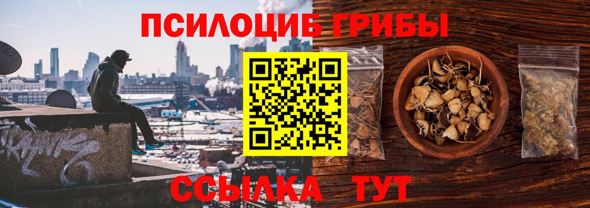 Джанкой  Псилоцибиновые грибы прущие грибы  Вход с VPN  Галлюциногенные грибы Cubensis 